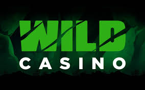 Wild Joker Gambling Enterprise Review